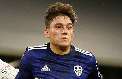 Манчестер Юнайтед, Фулхэм, Дэниэл Джеймс, Лидс, Марсело Бьелса, Оле-Гуннар Сульшер, премьер-лига Англия