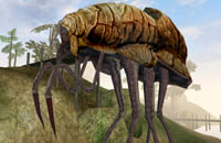 Metal Gear, South Park: The Stick of Truth, Ролевые игры, Monster Hunter World, Игры про зомби