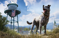 The Last of Us, Red Dead Redemption 2, Far Cry 5, Watch Dogs 2, Fallout 4