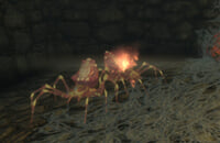 Пасхалки, Bethesda Game Studios, Тодд Говард, Skyrim, Ролевые игры, Bethesda Softworks