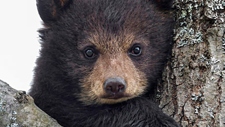 Фото публикации