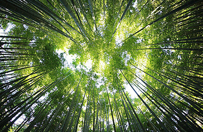 Питание, Экология