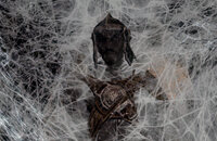 Bethesda Softworks, Ролевые игры, Skyrim, Экшены, Bethesda Game Studios