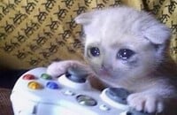 The Last of Us 2, YouTube