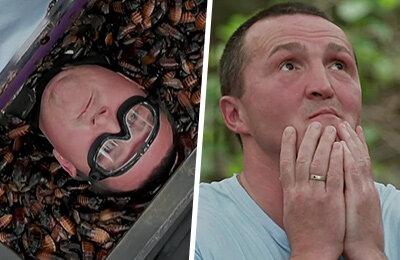 бокс, Денис Лебедев, телевидение