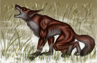 Читы, Dota 2, Valve