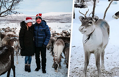 Валттери Боттас, Формула-1, животные и спорт, Заубер