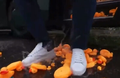 Василий Уткин, Камил Гаджиев, Fight Nights, Эгриси, Winline Медиалига