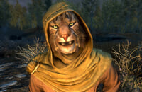 Экшены, Skyrim, Ролевые игры, The Elder Scrolls 6, Bethesda Softworks, Bethesda Game Studios