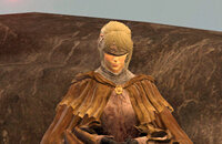 Elden Ring, Гайды, FromSoftware, Ролевые игры, Bandai Namco Entertainment