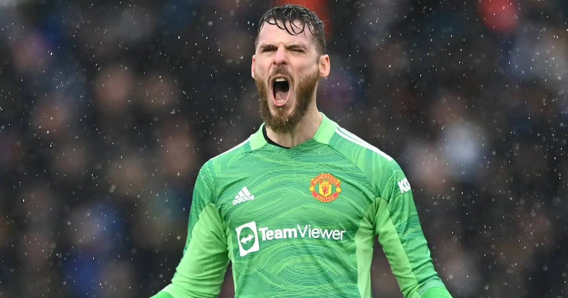 Давид Де Хеа, Манчестер Юнайтед