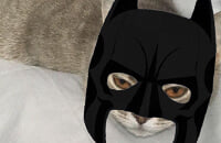 Моды, PlayStation 4, Red Dead Redemption 2, Моды на Red Dead Redemption 2