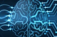 Алексей «Solo» Березин, Артур «Arteezy» Бабаев, The International, Гайды, Владимир «PGG» Аносов