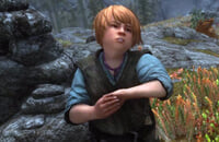 Ролевые игры, Bethesda Softworks, Экшены, Skyrim, Моды, Bethesda Game Studios, Моды на Скайрим