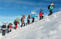 Team Faceless, Wings, Chaos, The Kiev Major, Newbee, Virtus.pro, Evil Geniuses, OG