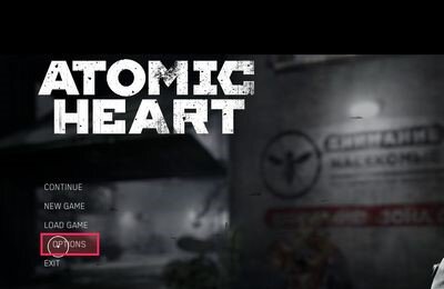 Гайды, Atomic Heart