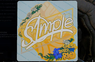 IEM Rio Major 2022, Автографы игроков, Наклейки