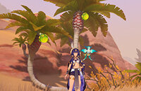 miHoYo, Гайды, Genshin Impact, Экшены