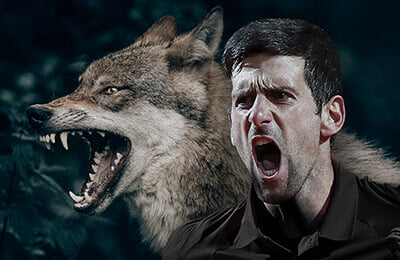 Новак Джокович, Уимблдон, животные и спорт, ATP