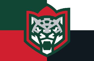 КХЛ, стиль, игровая форма, Ак Барс