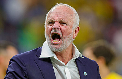 Грэм Арнолд, Сборная Австралии по футболу, ЧМ-2022, Гус Хиддинк