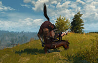 Мемы в играх, Ведьмак, CD Projekt RED, Ролевые игры, Баги, Ведьмак 3: Дикая Охота, Экшены