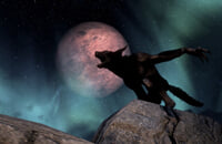 The Elder Scrolls: Legends, The Elder Scrolls II: Daggerfall, The Elder Scrolls III: Morrowind, Skyrim, The Elder Scrolls Online