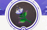 Экшены, miHoYo, Гайды, Ролевые игры, Genshin Impact