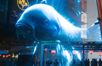 Экшены, Шутеры, Ведьмак 3: Дикая Охота, Ролевые игры, Cyberpunk 2077