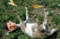 Владимир «Maelstorm» Кузьминов, OG, RuHub, Virtus.pro, The Kiev Major