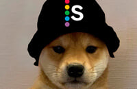 Ninjas in Pyjamas, Alliance, Team Secret, NAVI, Virtus.pro, Maincast