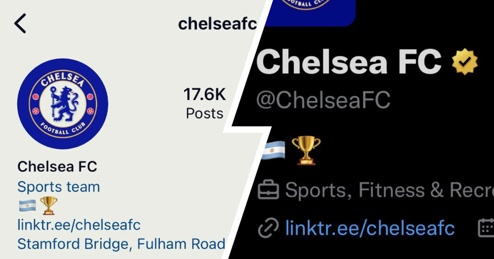 Клубы, Челси, Энцо Фернандес, Бенфика