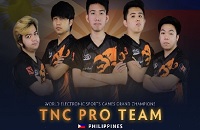 Danish Bears, TNC, WESG