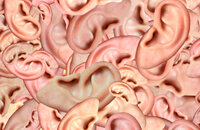 FromSoftware, Ролевые игры, Elden Ring