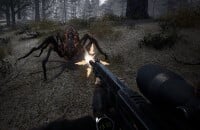 STALKER 2, Шутеры, Will To Live Online, MMO, Ролевые игры