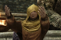 Ролевые игры, Bethesda Game Studios, Тодд Говард, Bethesda Softworks, Skyrim