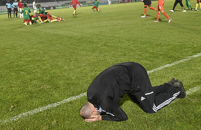 квалификация ЧМ Африка, сборная Камеруна по футболу, Карл Токо-Экамби, сборная Алжира по футболу, Джамель Бельмади, Ригобер Сонг, Эрик-Максим Шупо-Мотинг