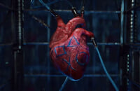 PlayStation 4, Sony PlayStation, PlayStation 5