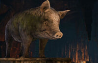 Ведьмак 3: Дикая Охота, CD Projekt RED, Анджей Сапковский, Ведьмак