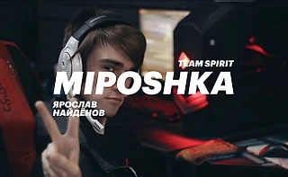 Dota 2 Инфографика: Team Spirit - Miposhka