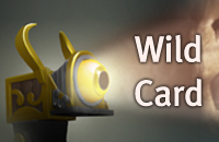 The International, EHOME, Complexity, Execration, Ninjas in Pyjamas