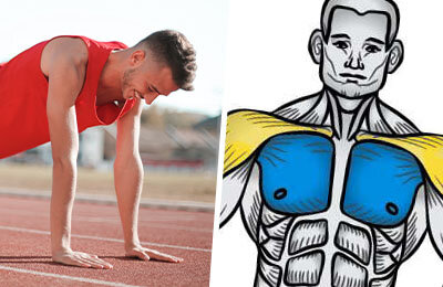 Бодибилдинг, Тренировки, Упражнения, Упражнения для рук