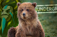 Cyberium, DPC СНГ: ESL One CIS Online, Dota Pro Circuit, Ильяс «Kasane» Гайнуллин, Nature's Prophet, VP.Prodigy, Dark Seer, HellRaisers