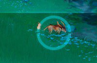 Genshin Impact, Гайды