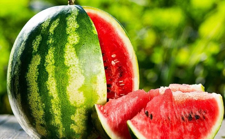 Мейджоры, Nature's Prophet, ESL One Stockholm Major, Team Spirit, Tidehunter, Магомед «Collapse» Халилов