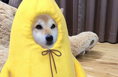 BLAST Premier World Final, Шоу «На банане», Реклама