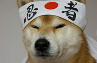 Monster Hunter World, Monster Hunter Rise, Capcom, Resident Evil Village, Resident Evil, Resident Evil 2 Remake, Resident Evil 3 Remake, Леди Димитреску, Pragmata, Resident Evil 4 Remake, Dragon Age 4, Devil May Cry 5, E3, Microsoft, Bloodborne, Xbox, Хидэо Кодзима