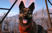 Ведьмак 3: Дикая Охота, Fallout 4, Far Cry 5, Super Mario Bros., PlayStation 4