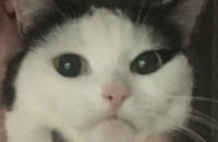 Escape from Tarkov, Riot Games, PUBG, League of Legends, Valorant, Fortnite