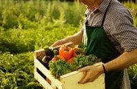 Vici Gaming, Pari Parni, Патчи, Патч 7.36b